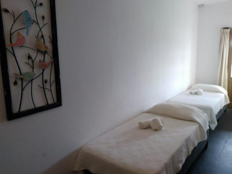 Hosteria Uruguay Piriápolis Kültér fotó